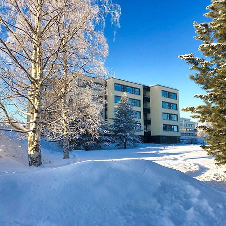 Lumberjack Apartment Rovaniemi Dış mekan fotoğraf